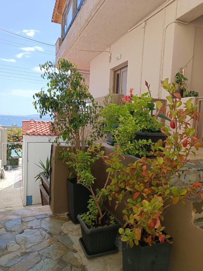 Buganvilla Sea View Apts Agia Pelagia  Esterno foto